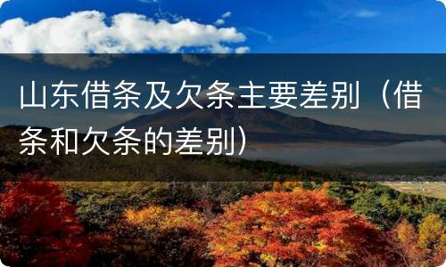 山东借条及欠条主要差别（借条和欠条的差别）