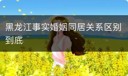 黑龙江事实婚姻同居关系区别到底