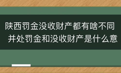 陕西罚金没收财产都有啥不同 并处罚金和没收财产是什么意思