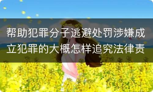 帮助犯罪分子逃避处罚涉嫌成立犯罪的大概怎样追究法律责任