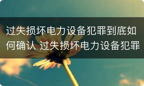 过失损坏电力设备犯罪到底如何确认 过失损坏电力设备犯罪到底如何确认的