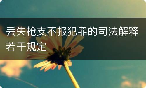 丢失枪支不报犯罪的司法解释若干规定