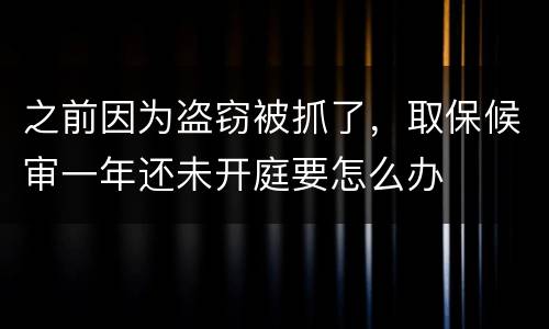 之前因为盗窃被抓了，取保候审一年还未开庭要怎么办