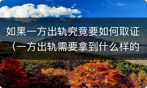 如果一方出轨究竟要如何取证（一方出轨需要拿到什么样的证据才能成立）