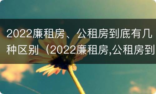 2022廉租房、公租房到底有几种区别（2022廉租房,公租房到底有几种区别呢）