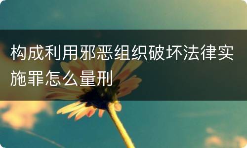构成利用邪恶组织破坏法律实施罪怎么量刑