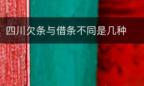 四川欠条与借条不同是几种