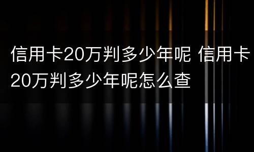信用卡20万判多少年呢 信用卡20万判多少年呢怎么查