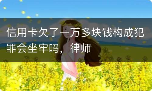 信用卡欠了一万多块钱构成犯罪会坐牢吗，律师