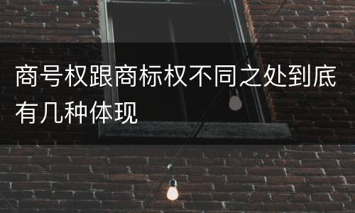 商号权跟商标权不同之处到底有几种体现