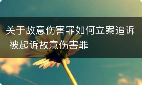 关于故意伤害罪如何立案追诉 被起诉故意伤害罪