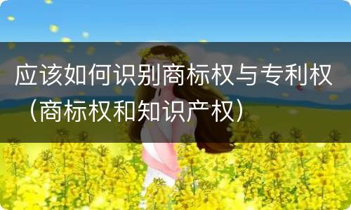 应该如何识别商标权与专利权（商标权和知识产权）