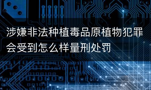 涉嫌非法种植毒品原植物犯罪会受到怎么样量刑处罚