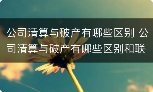 公司清算与破产有哪些区别 公司清算与破产有哪些区别和联系