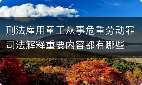 刑法雇用童工从事危重劳动罪司法解释重要内容都有哪些