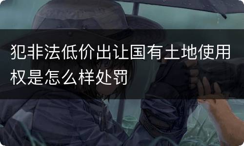 犯非法低价出让国有土地使用权是怎么样处罚