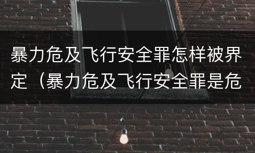 暴力危及飞行安全罪怎样被界定(暴力危及飞行安全罪是危险犯吗)
