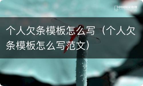 个人欠条模板怎么写（个人欠条模板怎么写范文）