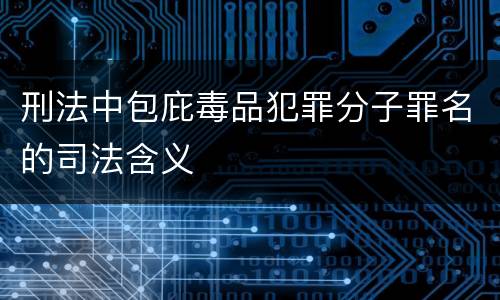 刑法中包庇毒品犯罪分子罪名的司法含义
