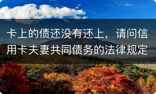 卡上的债还没有还上，请问信用卡夫妻共同债务的法律规定
