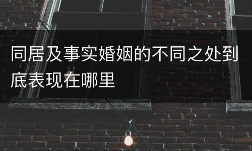 同居及事实婚姻的不同之处到底表现在哪里