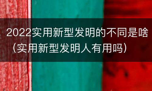 2022实用新型发明的不同是啥（实用新型发明人有用吗）