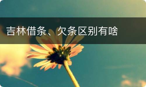 吉林借条、欠条区别有啥