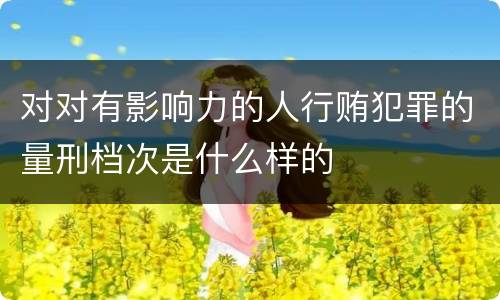 对对有影响力的人行贿犯罪的量刑档次是什么样的