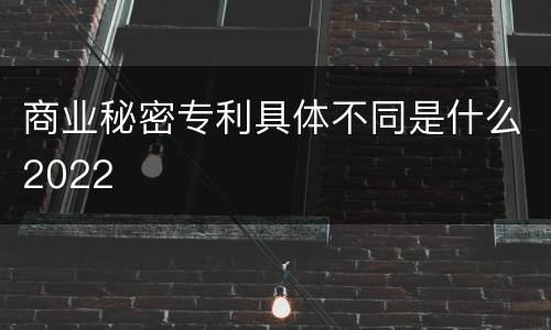商业秘密专利具体不同是什么2022