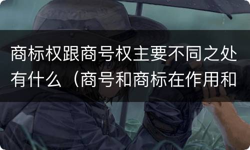 商标权跟商号权主要不同之处有什么（商号和商标在作用和性质上的区别）