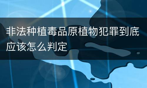 非法种植毒品原植物犯罪到底应该怎么判定