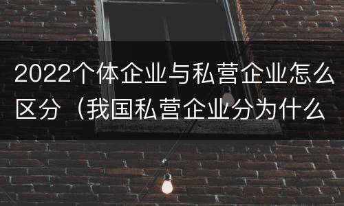 2022个体企业与私营企业怎么区分（我国私营企业分为什么）