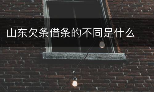 山东欠条借条的不同是什么