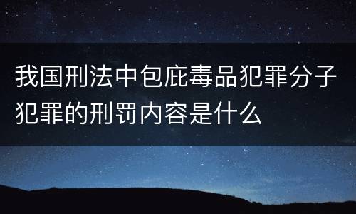 我国刑法中包庇毒品犯罪分子犯罪的刑罚内容是什么