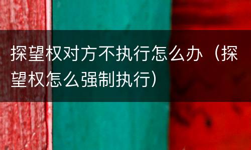 探望权对方不执行怎么办（探望权怎么强制执行）
