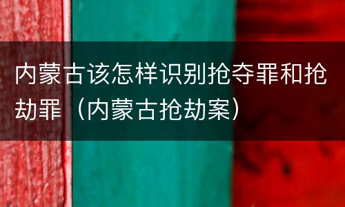 内蒙古该怎样识别抢夺罪和抢劫罪（内蒙古抢劫案）