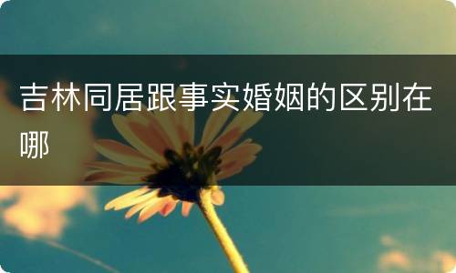 吉林同居跟事实婚姻的区别在哪