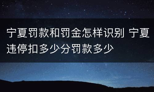 宁夏罚款和罚金怎样识别 宁夏违停扣多少分罚款多少