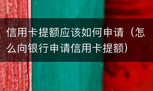 信用卡提额应该如何申请（怎么向银行申请信用卡提额）
