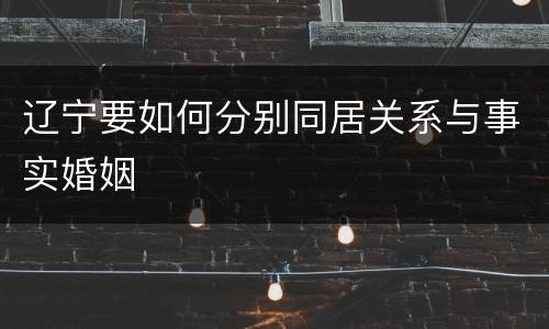 辽宁要如何分别同居关系与事实婚姻
