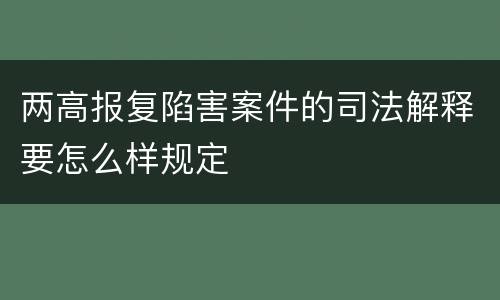 两高报复陷害案件的司法解释要怎么样规定