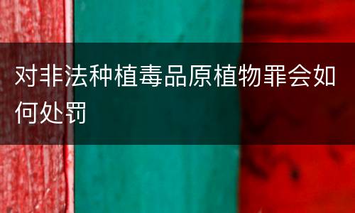 对非法种植毒品原植物罪会如何处罚