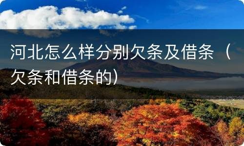 河北怎么样分别欠条及借条（欠条和借条的）
