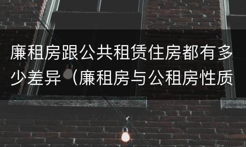 廉租房跟公共租赁住房都有多少差异（廉租房与公租房性质是一样的吗）