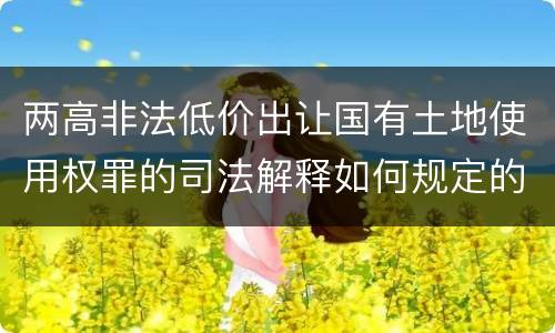 两高非法低价出让国有土地使用权罪的司法解释如何规定的