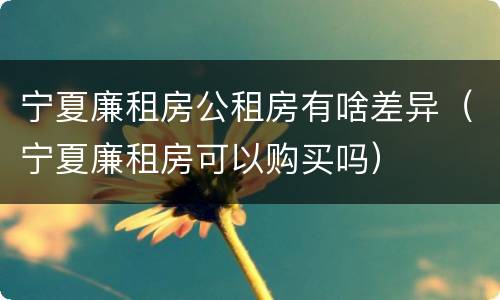 宁夏廉租房公租房有啥差异（宁夏廉租房可以购买吗）