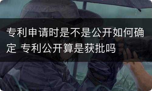 专利申请时是不是公开如何确定 专利公开算是获批吗