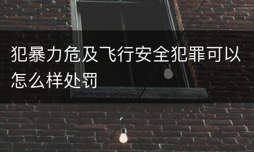 犯暴力危及飞行安全犯罪可以怎么样处罚