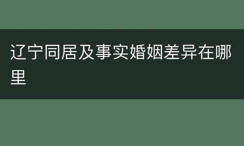 辽宁同居及事实婚姻差异在哪里
