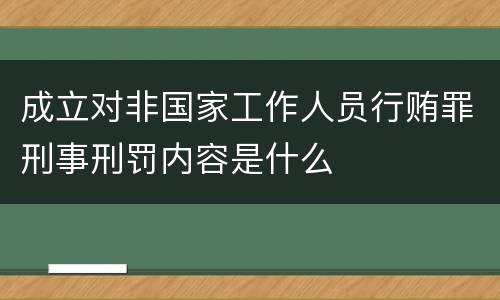 成立对非国家工作人员行贿罪刑事刑罚内容是什么